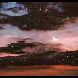 Meet your Posher, Darby